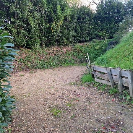 Gite Des Petites Ruelles : Familial Et Chaleureux Trôo 外观 照片